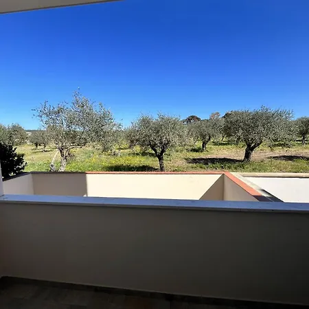 Apartment Stella Marina Alghero